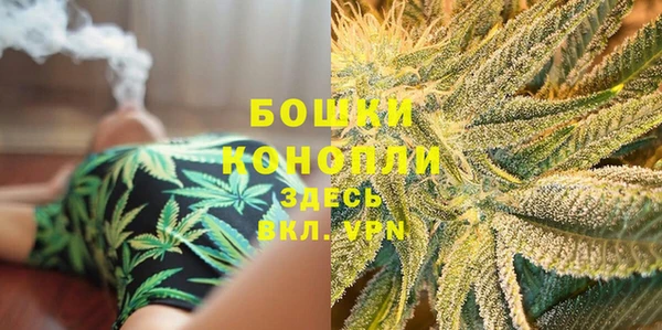 PSILOCYBIN Верхний Тагил