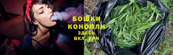 PSILOCYBIN Верхний Тагил